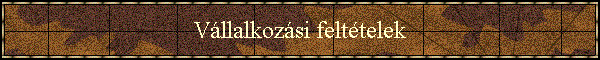 Vllalkozsi felttelek